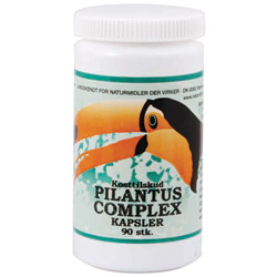 Image of Pilantus complex 375 mg - 90 kapsler