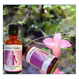 Image of Krone chakra - 50 ml.