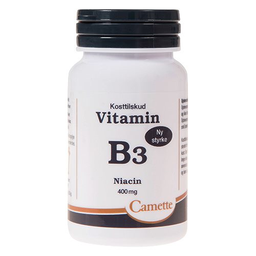 Image of Camette Vitamin B3 niacin 400 mg (90 tab)