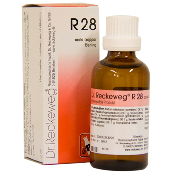 Image of Dr. Reckeweg R 28 - 50 ml.