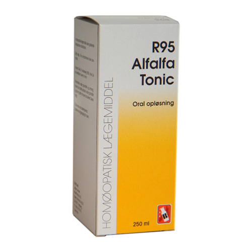 Image of Dr. Reckeweg R 95 - 50 ml.